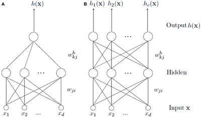 Bioinspired Architecture Selection for Multitask Learning